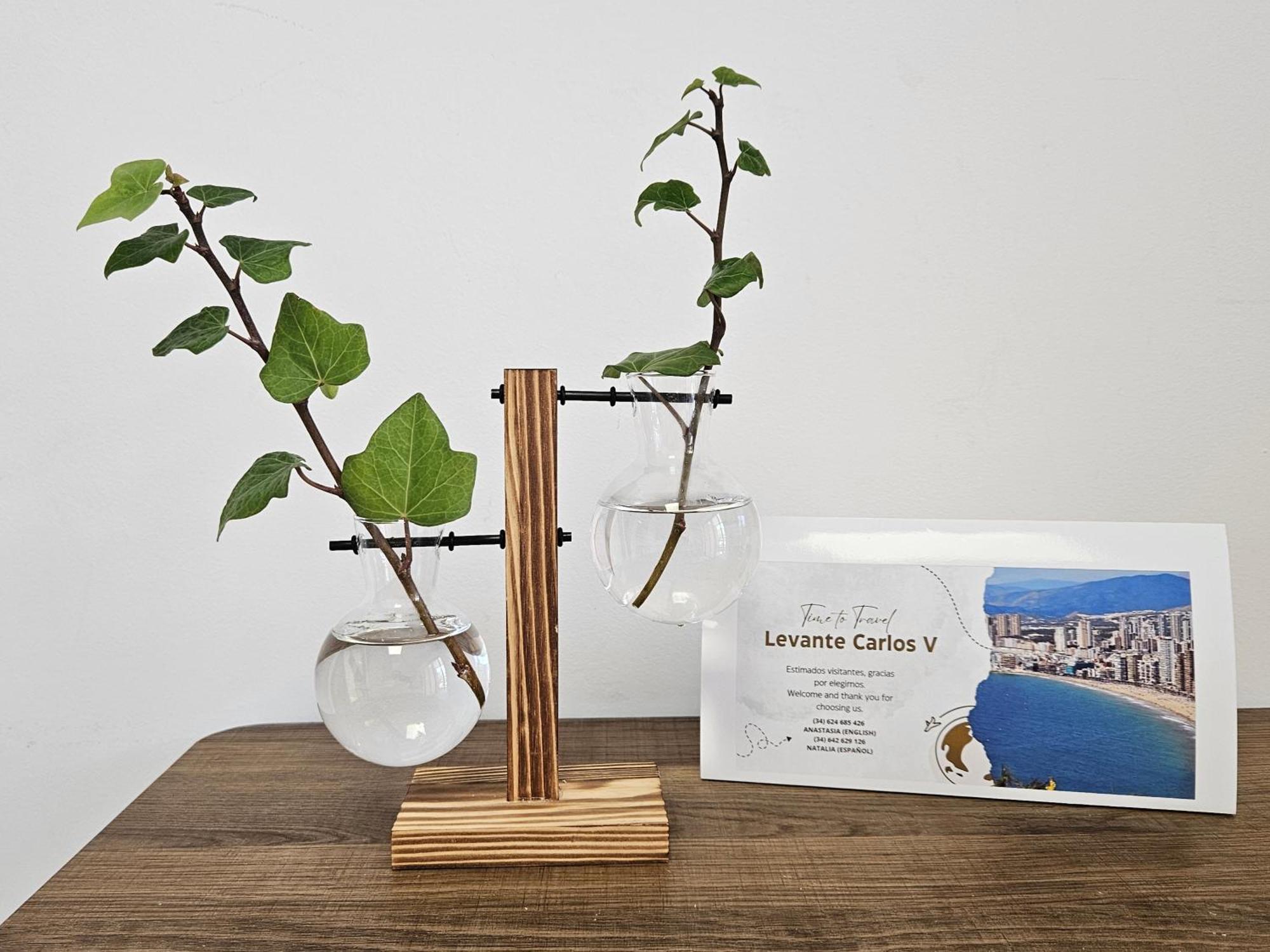 Levante Carlos V 1B 貝尼多姆 外观 照片
